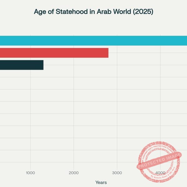 الاستثناء التونسي: الهوية والمجتمع والديناميات الإقليمية