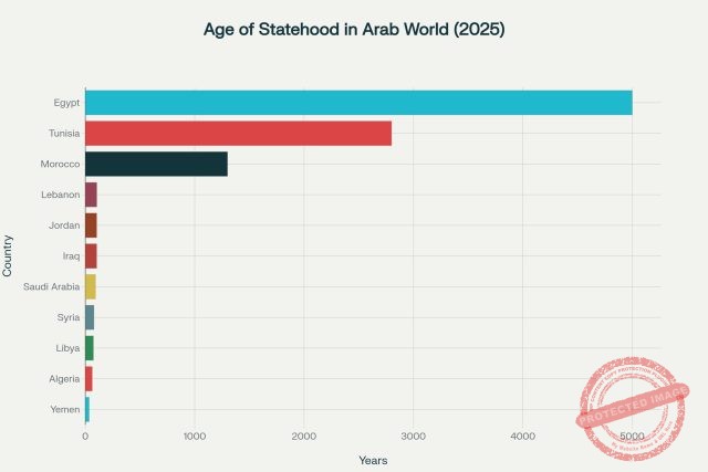 الاستثناء التونسي: الهوية والمجتمع والديناميات الإقليمية